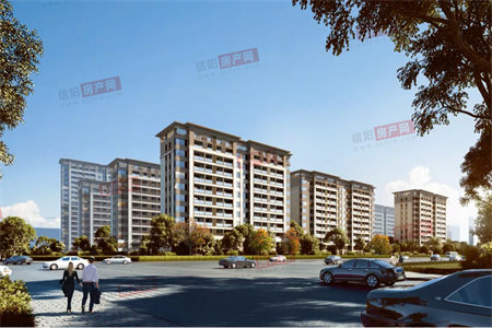 客厅放什么花草